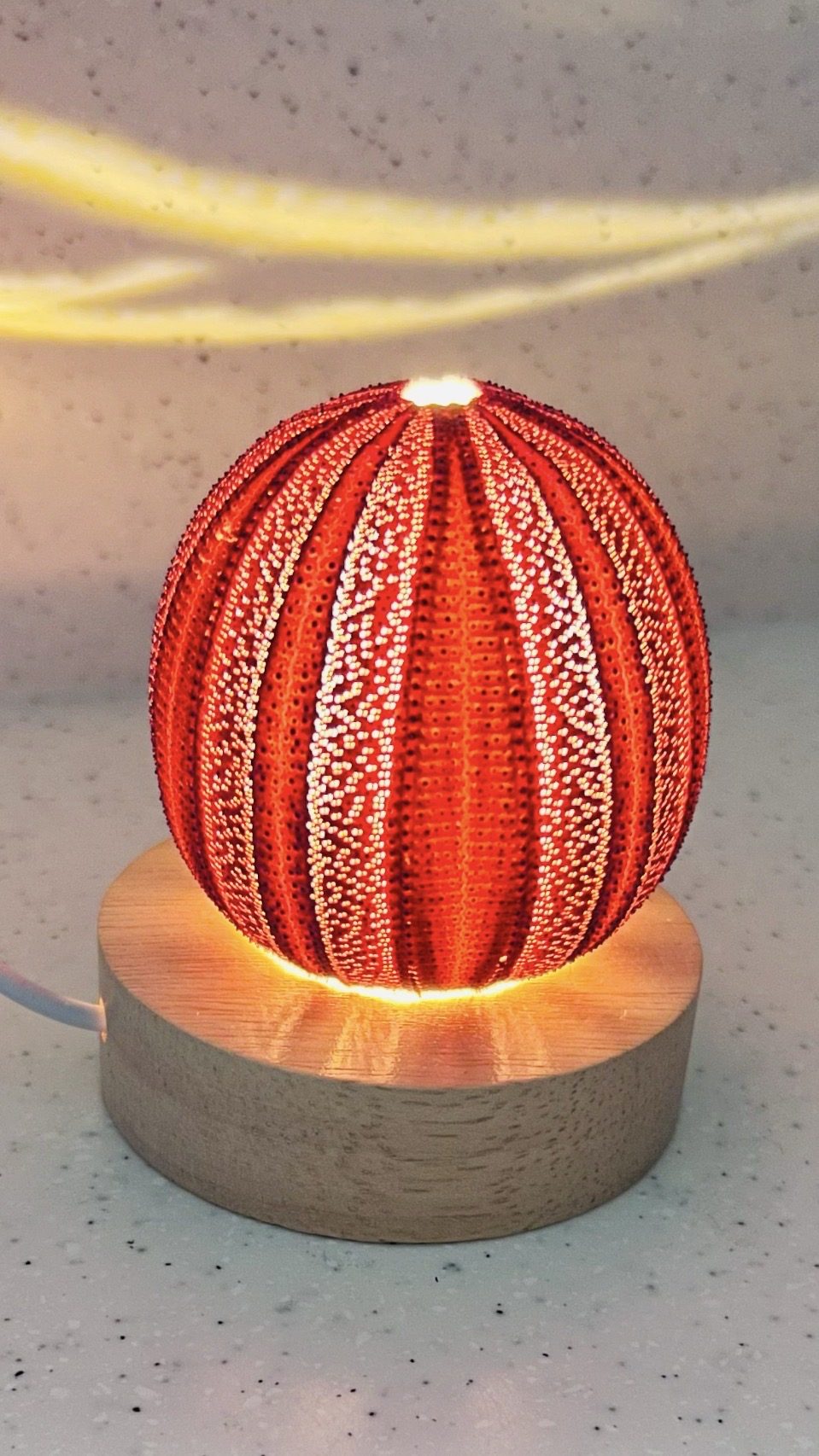 An urchin lamp glowing warmly, a red sea urchin shell lit from within on a round timber base